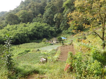 photo 1765334