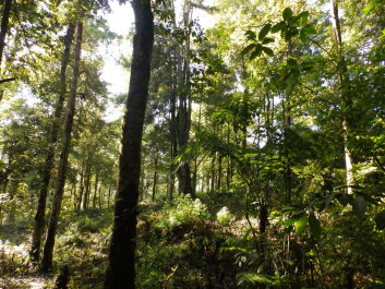 photo 1777182