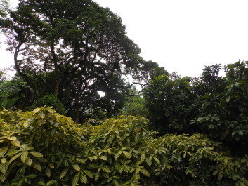 photo 1784510