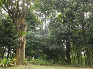 photo 1784512