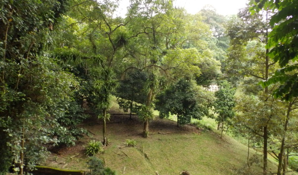 P1022358