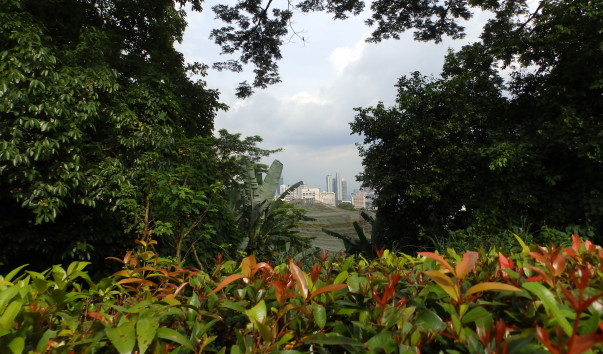 P1022383