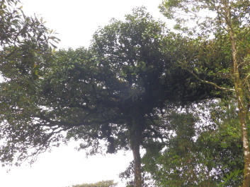 photo 1787505
