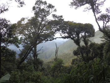 photo 1787506