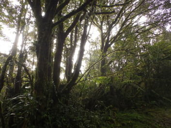 photo 1787875