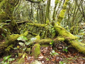 photo 1788375