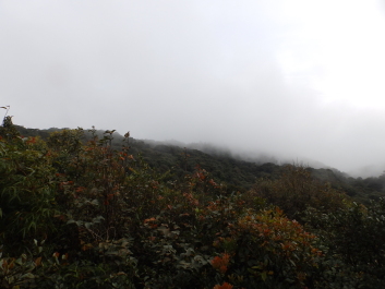 photo 1788645