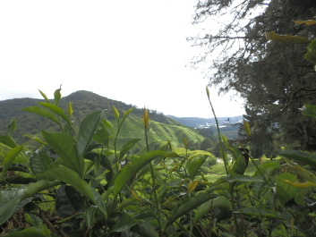 photo 1789463