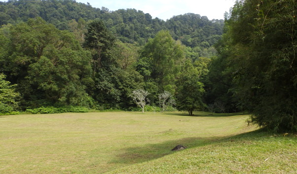 PC090998