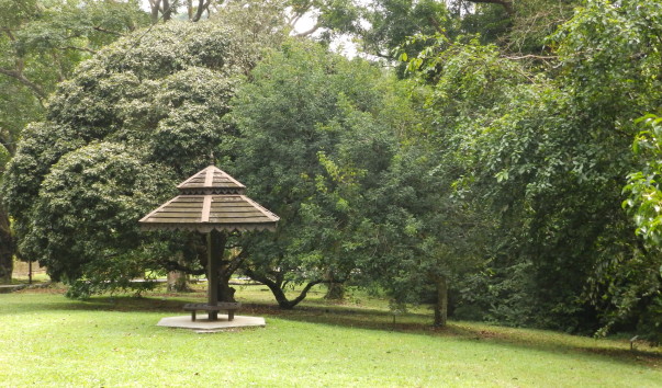 PC091019