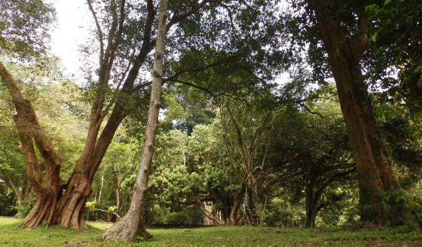 PC091017