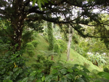 photo 1794095