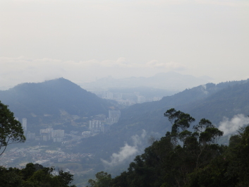 photo 1795412