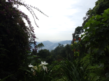 photo 1795414