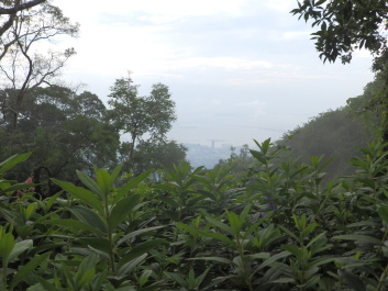 photo 1795415