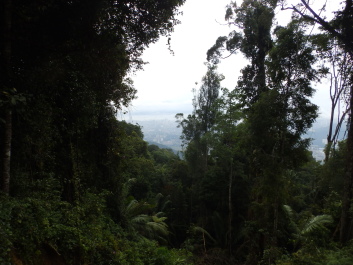 photo 1795568
