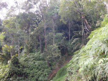 photo 1797044