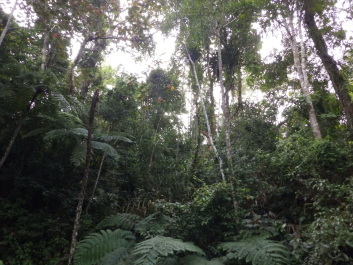 photo 1797045