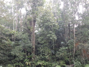 photo 1797046