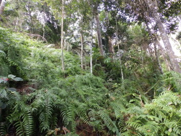 photo 1797303