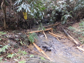 photo 1799882