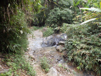 photo 1799883