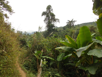 photo 1800155
