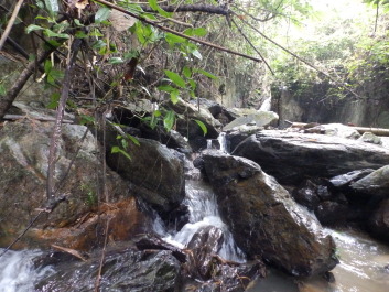 photo 1806157