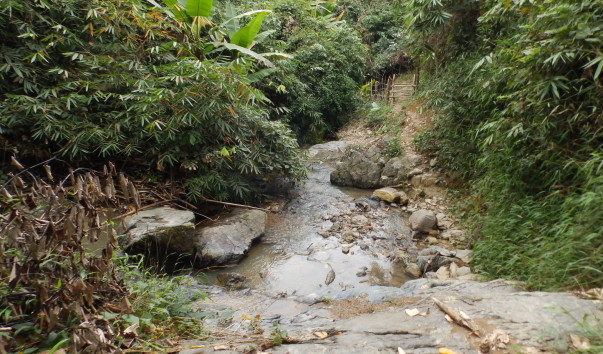 P1123576