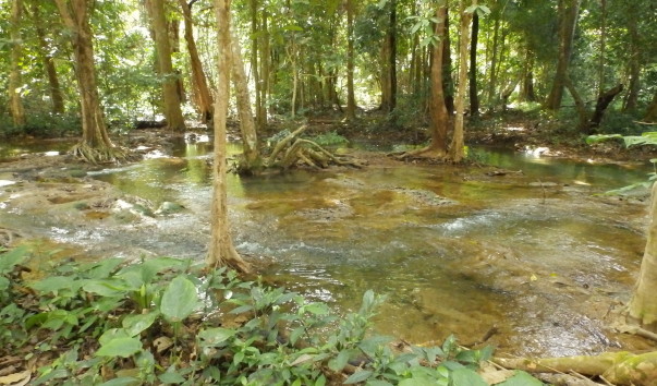 P1062630