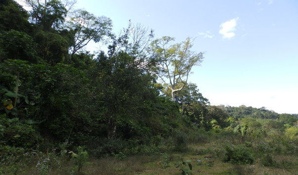 P1062673