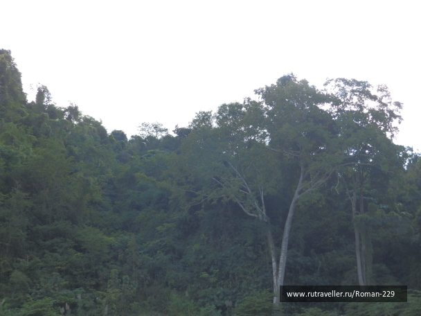 photo 1815161