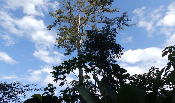 P1062680
