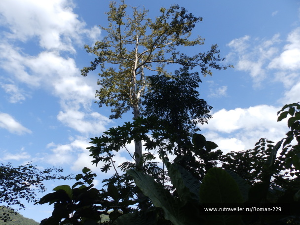 photo 1815162