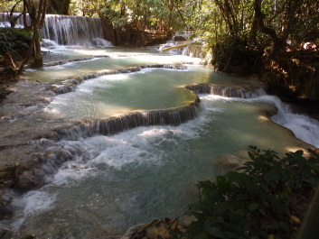 photo 1815739