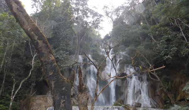 P1214677