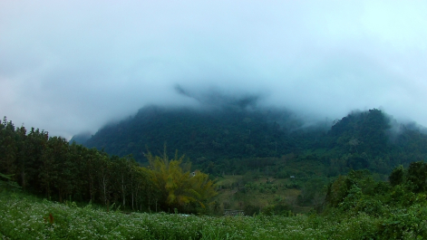 photo 1816716