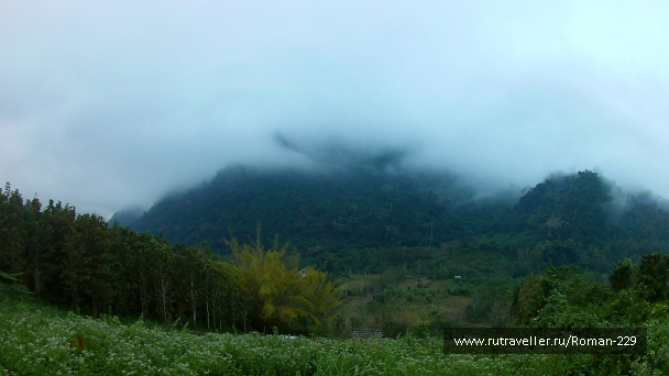 photo 1816716