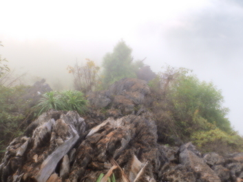 photo 1817441