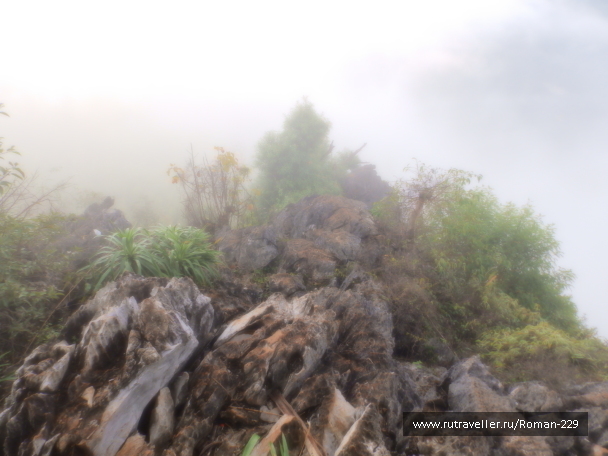 photo 1817441