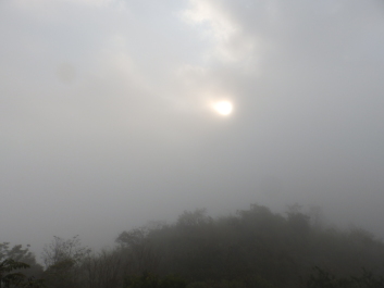 photo 1819399