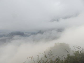 photo 1820247