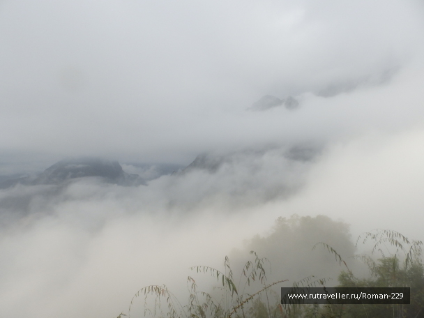photo 1820247
