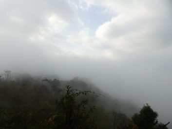 photo 1820249