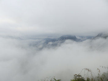 photo 1820471