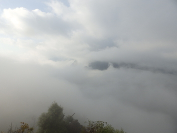 photo 1820473