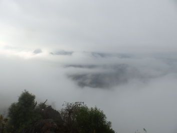 photo 1821915