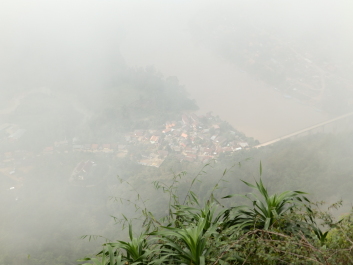 photo 1822768