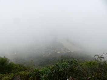 photo 1822769