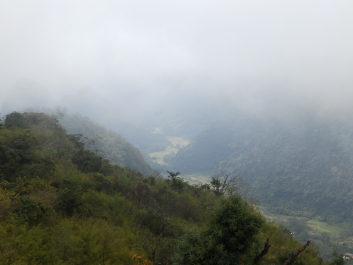 photo 1823405